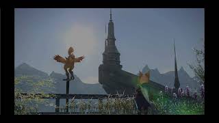 【FF14】マイチョコボ訓練風景（イシュガルド - エンピレアム）