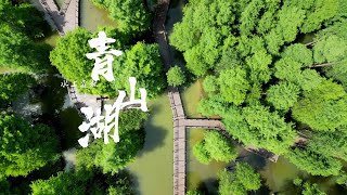 青山湖水上森林漫游，城市中的静谧