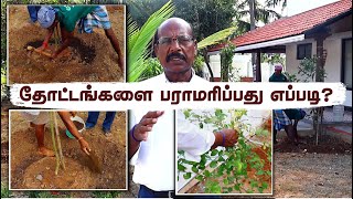 பசுமை பராமரிப்பு  உங்கள் தோட்டத்திற்கு🌿 Expert Tips for a Lush \u0026 Productive Garden! ✨🌳