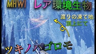 【MHWI】環境生物　空を泳ぐ幻　ツキノハゴロモ