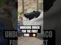 unboxing micro draco ‼️😳 subscribe for new content‼️ guns glock sigsauer draco fn warzone