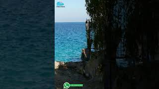 للايجار   الغردقة   Mini Studio With Free Private Beach، الغردقة – أحدث أسعار #shorts