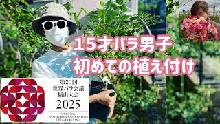 １５才バラ男子、初めての植え付け