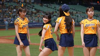 20250518 九局下換投手的邊荷律扭扭扭+謝謝大家我們是passion sister!! #邊荷律 #변하율#passionsisters #cheerleader