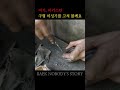 8월간 우리 형님들의 좌충우돌 와장창창 모음집