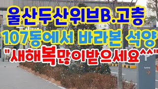 울산부동산/야음동아파트부동산/번영로두산위브107동/금강부동산