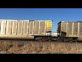 a southbound bnsf 9730 loaded energy coal train with a mace leader