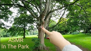 ASMR♡Outdoor♡Walk In the Park♡Tracing♡Tapping and Scratching a Fallen Tree♡Touching Wood Mushrooms