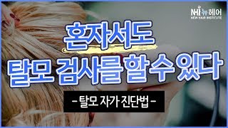 혼자서도 탈모검사를 할 수 있다? 탈모 자가 진단법! - 뉴헤어 I 모발이식 I 탈모QnA I