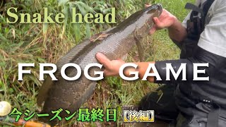 【雷魚釣行記】後編🌱浦ch。笑い続ける油ニキ🤣　【フロッグゲーム】