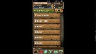 課金ヤードのパズドラ日記　２日目！！