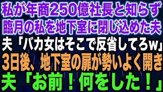 スカッとする話】私が年商250億社長と知らず臨月の私を地下室に閉じ込めた夫夫「バカ女はそこで反省してろw」3日後、地下室の扉が勢いよく開き夫「お前！何をした！」