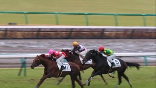 【現地】2024/1/20 メイクデビュー レッドテリオス 三浦 皇成  【中山競馬場】