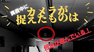 【カメラ映像】深夜にカメラが捉えたものは？　＃オーブ　＃心霊　＃心霊現象　＃霊障