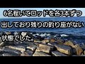 貝塚人工島水路・港で泳がせ目的のアジングとジギング不発❗