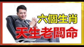 財神指路！算命師預言：天生老闆命的6個生肖，有你嗎？！愛護生命，善惡皆有報，心存善念，廣集善緣的人，天必佑之必定一夜暴富！