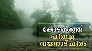 കോടമഞ്ഞിന്‍ താഴ്വരയില്‍; കൂടുതല്‍ മനോഹരിയായി വയനാട് ചുരം; കാഴ്ചകളിലേക്ക് | Wayanad Churam