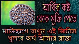 আর্থিক কষ্ট থেকে মুক্তি পেতে মানিব্যাগে রাখুন এই জিনিস খুলবে অর্থ আসার রাস্তা | মহাজাগতিক ধ্বনি |