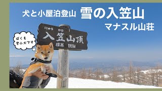 【犬連れ小屋泊登山】冬の入笠山 犬と泊まれるマナスル山荘（長野県）