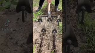 حرث الارض مدهش محراث يدويPlowing the land is amazing manual plow