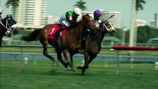 Gulfstream Park welcomes back fans for Pegasus World Cup