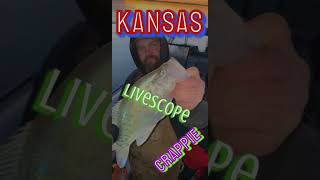 Kansas Crappie on Livescope