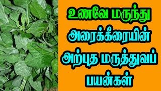 MEDICINAL BENEFITS OF ARAI KEERAI / அரைக்கீரையின் அற்புத மருத்துவப் பயன்கள்