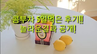 콤부차 5일먹은 후기! 다이어트,변비 도움될까?