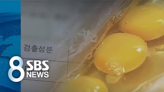 살충제 달걀, 문제는 '흰자와 노른자' / SBS