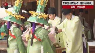 【速報】五穀豊穣を祈る「御田植神事」　大阪・住吉大社