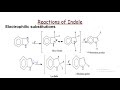 indole structure preparations and reactions