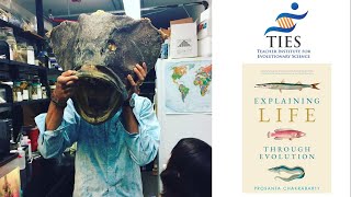 Explaining Life Through Evolution with Prosanta Chakrabarty