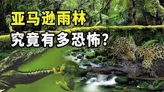 亞馬遜雨林被稱為人類禁區！裡面有什么生物，為何如此恐怖？