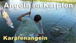 Karpfenangeln - Angeln auf Karpfen im Sommer mit verschiedenen Methoden und Montagen