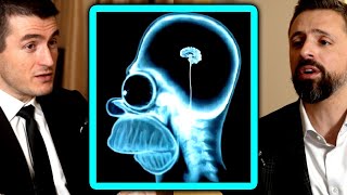 Are people getting dumber? | Ezra Klein and Lex Fridman