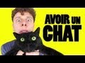 NORMAN - AVOIR UN CHAT