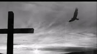 Found Real Love - Wings Of Faith (Fred Baca)