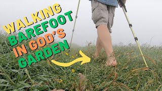 Immersed in God's Garden: The Surprising Health Benefits of Walking Barefoot