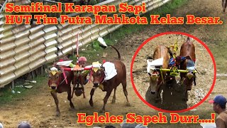 Semifinal Karapan Sapi HUT Tim Putra Mahkota Kelas Besar,, Egleles Sapeh Dur...