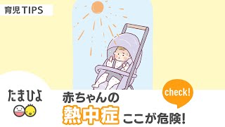 “赤ちゃんの熱中症”屋外・室内・屋内・車内…こんなところに危険が潜んでいる！【たまひよ公式】