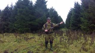 woodcock hunting Ireland 2017. medibas Irija.