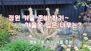 겨울전에 정원에서 해야 하는 일은?   /조경/월동준비/