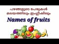 പഴങ്ങളുടെ പേര് പഠിക്കാം മലയാളത്തിലും ഇംഗ്ലീഷിലും, /Names of fruits in malayalam &English