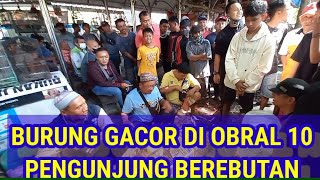 Awalnya ngak ada pengunjung yang mendekat setelah tau burung harga 10 ribu gacor langsung berebutan