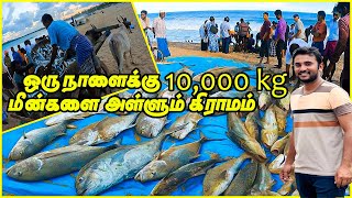 இலங்கையில் வெளிநாட்டவர்களை கவரும் மீனவ கிராமம் | Biggest fishing village in sri lanka #sltamilvlog