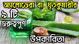 অ্যালোভেরা বা ঘৃতকুমারীর ৯টি গুরুত্বপূর্ণ উপকারীতা | 9 Benefits of Aloe Vera | Tech Agro | 2023