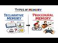 Declarative Memory VS Procedural Memory | Types of Memory