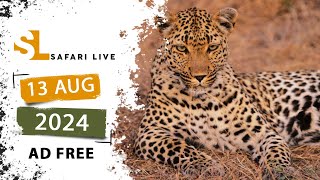 SafariLIVE Sunrise Safari - 13 August 2024 - Members Only