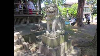 春日神社夏越の大祓「茅の輪くぐり」20236025