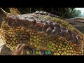 taming effectiveness what it does and how to raise it ark survival ascended